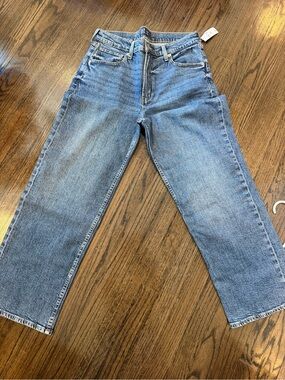 Gap Classic Straight-Leg Blue Jeans